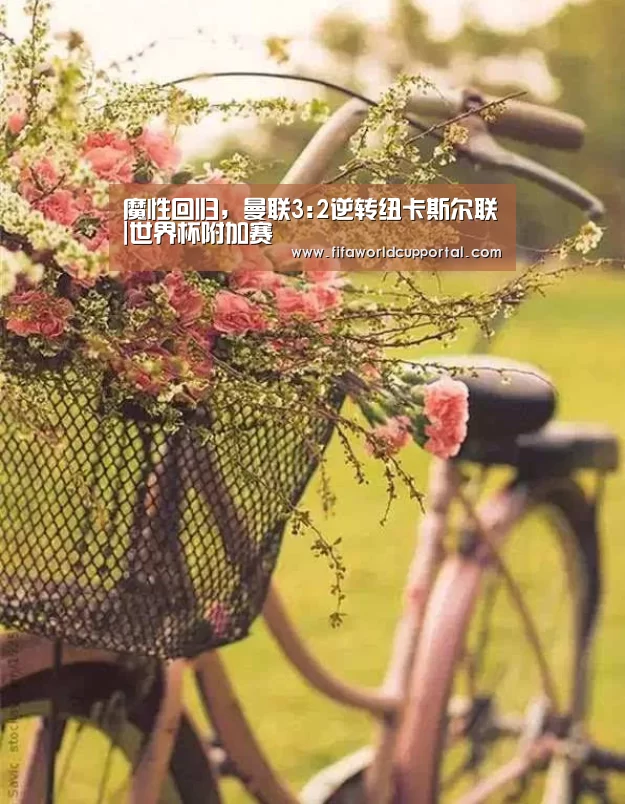世界杯附加赛