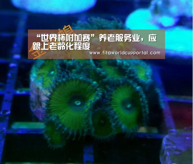 “世界杯附加赛”养老服务业，应跟上老龄化程度