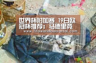世界杯附加赛_19日欧冠杯推荐:马德里竞技 VS 利物浦(图2) 世界杯附加赛